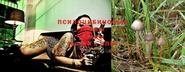 дурь Вязники